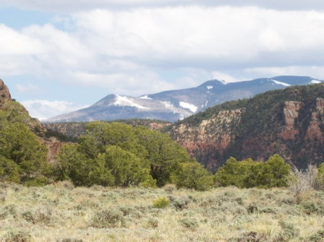 lasalmountainsutah.jpg