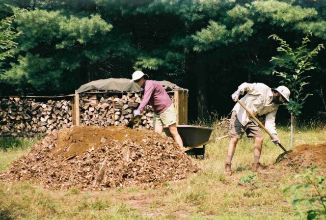p1.jpg