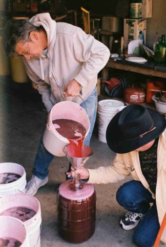 p10.jpg